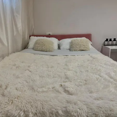 Muse Studio, Center Of * ティラナ